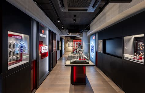 tudor ginza